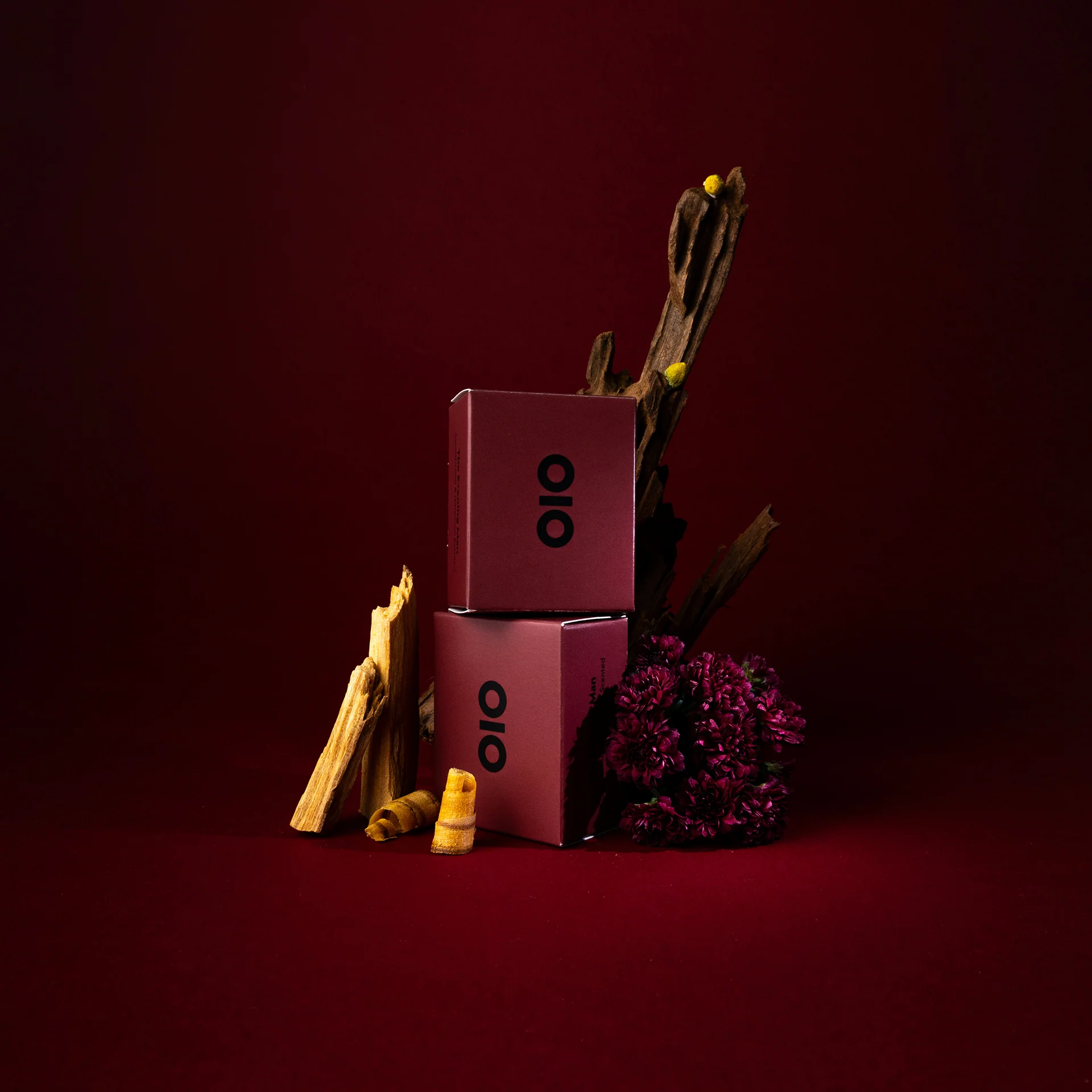 The Ordinary Man - Image 5